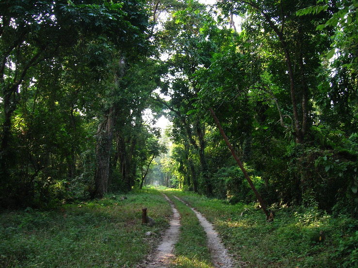 1. Indravati National Park